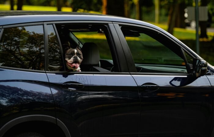 Taxi Doetinchem