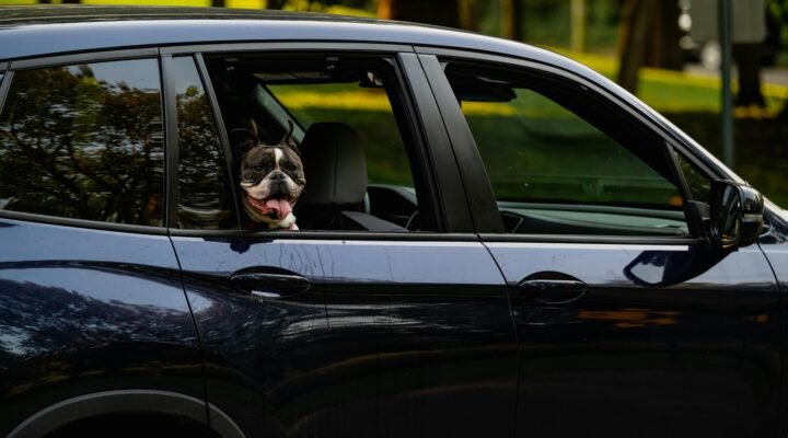 Taxi Doetinchem